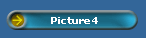 Picture4