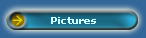 Pictures